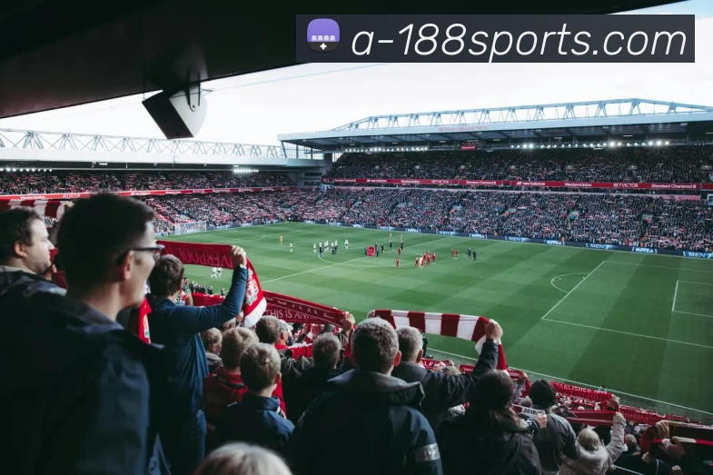 188体育投注平台生态图